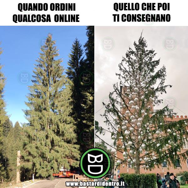 spelacchio_albero_di_roma